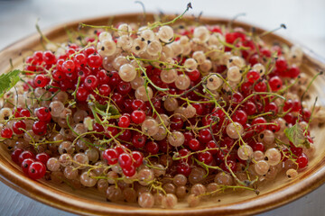Redcurrants sitting in a bowl