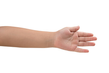 hands of the child isolated on the white background.