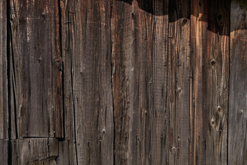 background texture of an old tree
