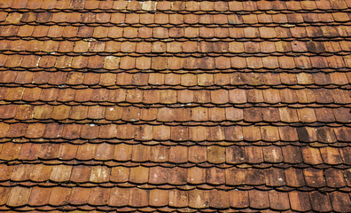 
backgrounds wallpapers bricks and trees of different types