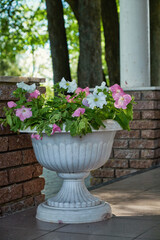 Ornamental garden with colorful plants in flowerbed and wooden table with chairs