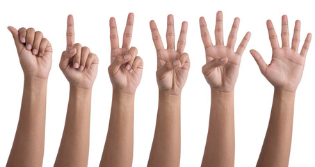 Set of counting hand women sign isolated on white front