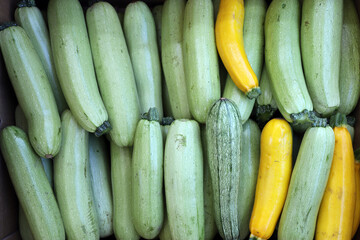 Fresh green and yellow zucchini pattern.