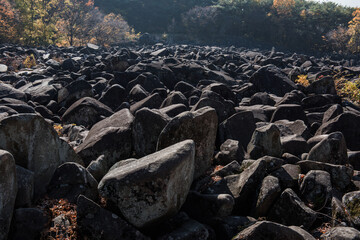 Lot of curious rock and ston in the valley