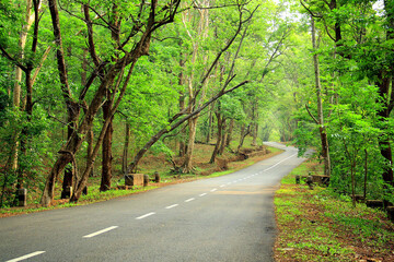 The long winding road to Sholayar