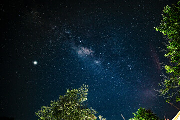 Fototapeta na wymiar Milky way galaxy in Prajinburi Thailand