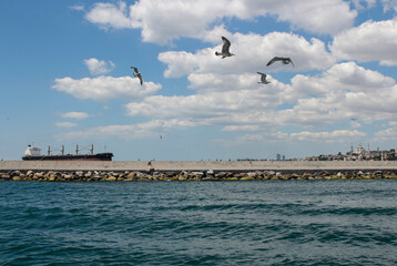 Fototapeta na wymiar Iron freighter. Flying seagulls. Ship like going over the breakwaters