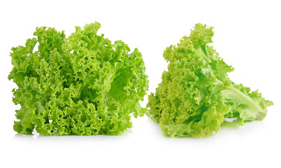 Fototapeta premium Fresh lettuce leaves isolated on white background.
