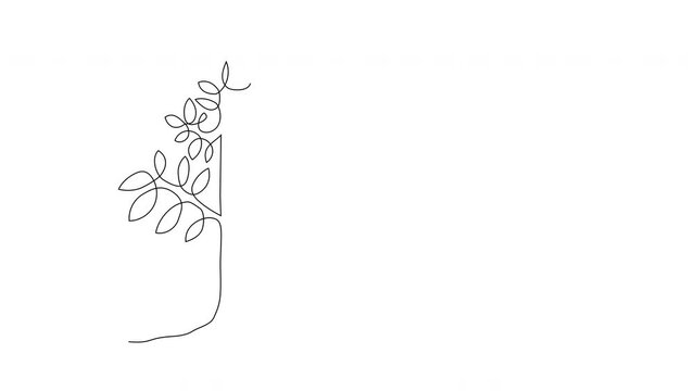 Self drawing single line animation of green tree. Copy space. White background. Continuous line art and painting animation. 