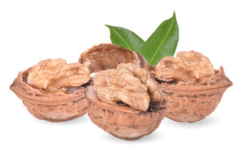 Walnuts  isolated on white background