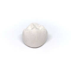 Plaster model of a tooth