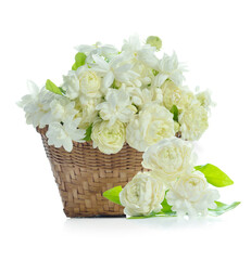 jasmine tea flower isolated on white background