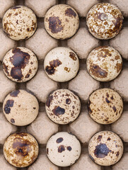 Quail eggs on a background