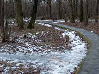 paved path in the forest in winter, Moscow