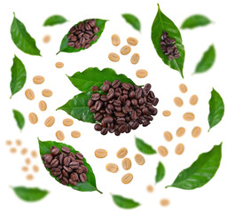 Coffee beans and Coffee leaf isolated on white