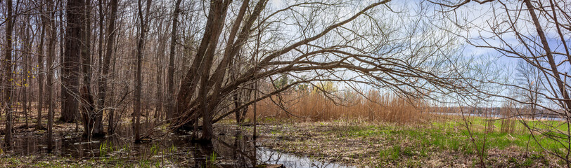 Colour panorama landscape photograph taken at Lemoine Point Conservation Area on a clear summer day in Kingston, Ontario Canada.
