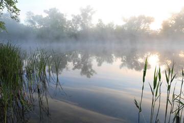 morning foggy river