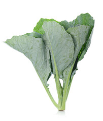 chinese broccoli on white background