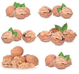 Walnuts  isolated on white background