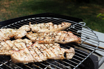 Viande en train de cuire sur le barbecue