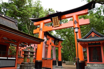 Inari Taisha shrine in Kyoto, Japan
