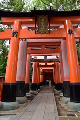 A thousant of gate in Inari shrine, Kyoto