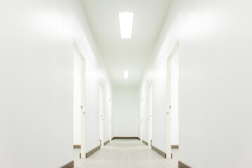 Light White Hall Room With Doors and Wood Floor