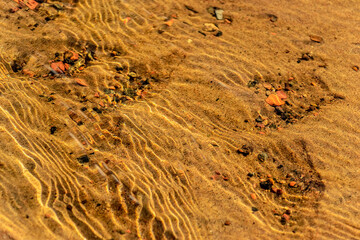 River bottom texture on a sunny July day.