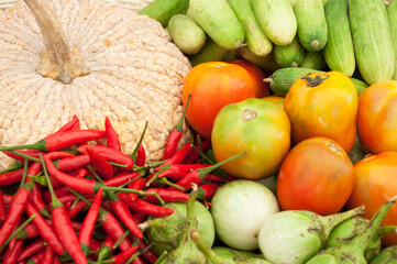 Collection of fresh organic food with pumpkins, tomatoes, peppers and other vegetables.