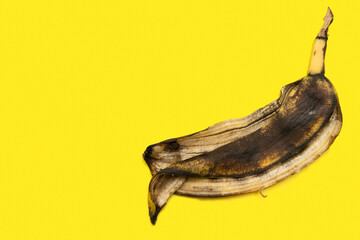 Rotten spoiled banana peel isolated on a yellow background with copy space