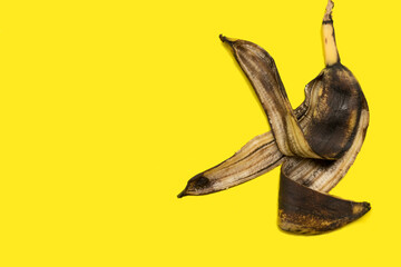 Rotten spoiled single old banana isolated on a yellow background with copy space