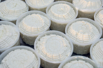 production of cottage cheese made from cow's milk