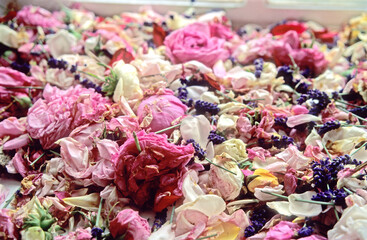 Close up view of dried mixed flower petals on windowsill. Sun shining through glass onto blooms