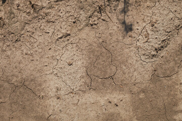 A lifeless land, craquelure texture in nature