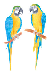 Watercolor parrot macaw sitting on a branch