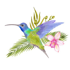 Obraz premium Watercolor tropical colibri hummingbird with orchid flower, bamboo leaves, areca palm.