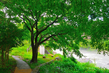 御岳渓谷/Mitake Gorge-Tokyo Ome