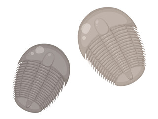 三葉虫の化石のイラスト_2匹