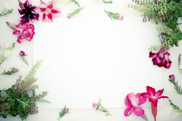 Pink azalea flowers , white asystasia gangetica flowers,green basil  and blank paper sheet on a pink background.spring border pink and white blossom, top view, blak paper  for banner, flat lay.