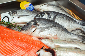 Raw fish ready for sale in the supermarket. Showcase with chilled red fish in grocery store. Market place, showcase with sea food.