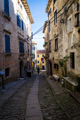Fototapeta na wymiar La vecchia cittadina di Grisignana lungo la Parenzana in Istria