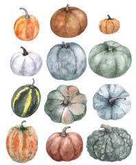 Set of watercolor pumpkins on the white background. Orange, green and white pumpkins. Illustration for logo, print graphics, postcards and scrapbooking