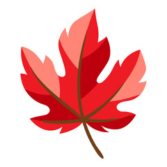 Illustration of autumn maple leaf.