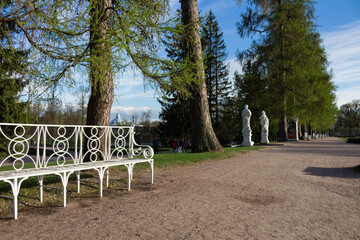 Empty Park. Paths, statues, wrought-iron openwork white benches. There are no people.