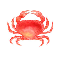 Watercolor colorful crab. Hand drawn illustration. Isolated on white