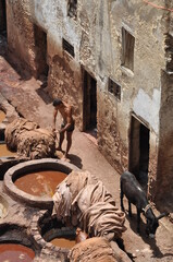Man working at Chouwara Traditional leather tannery in Fez, Morocco
