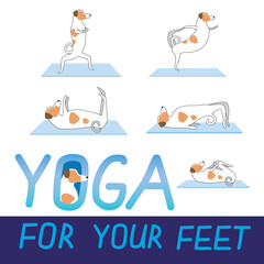 Yoga leg exercises and cute jack russell terrier as character, flat or outline vector stock illustration with dog doing yoga