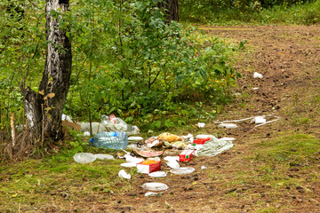 Trash in the forest left after a picnic