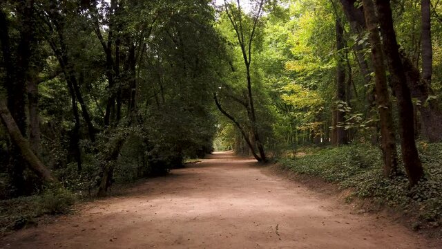 Woods of Rainha D. Leonor , in Caldas da Rainha - Portugal, borders the Parque D. Carlos I and is characterized by its biodiversity and beauty.