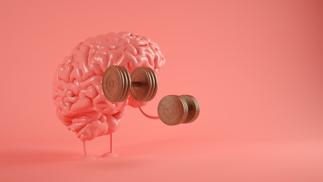 training brain